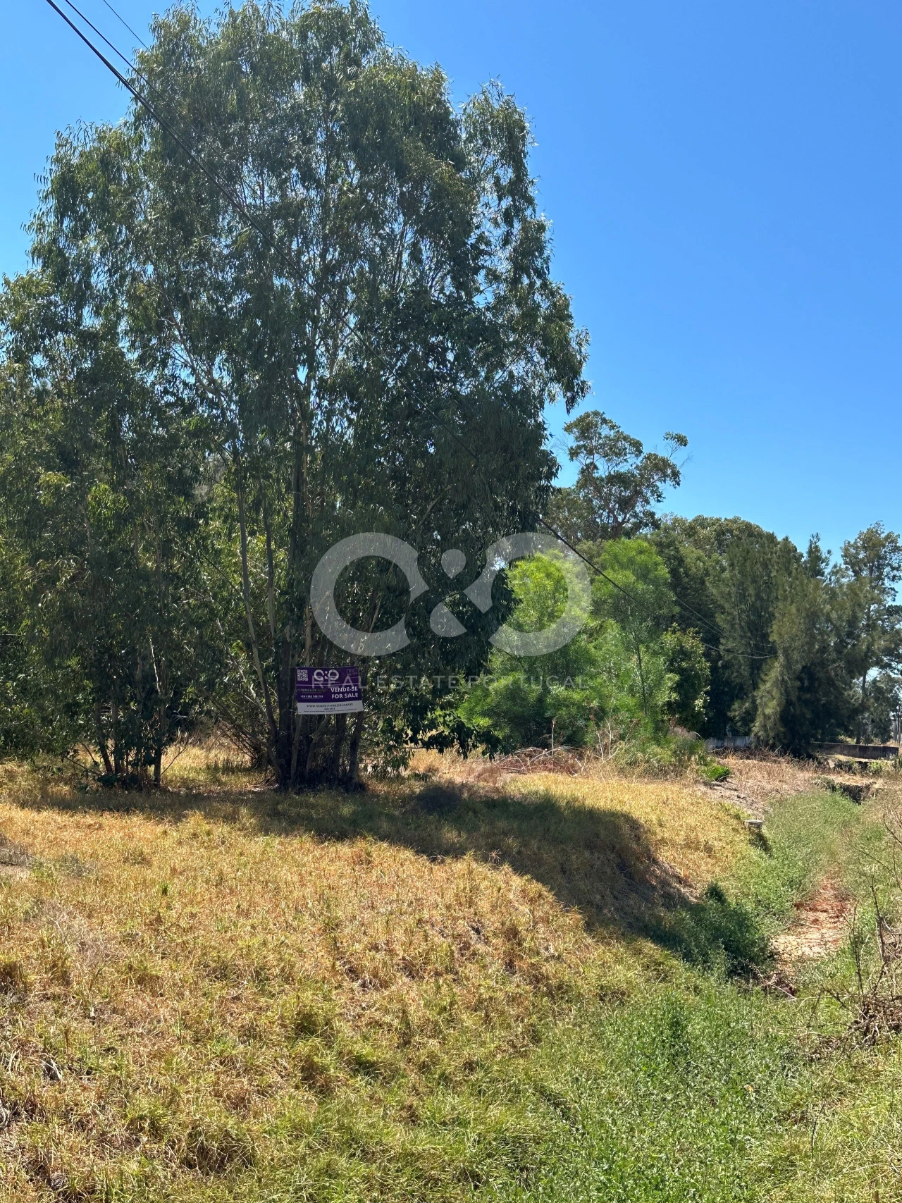 Terreno para Venda em Alvor Foto 5