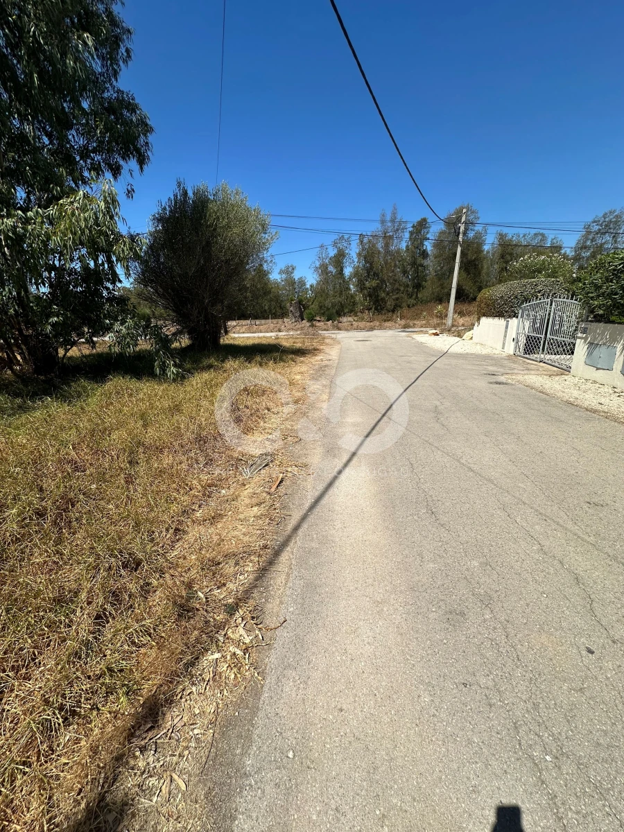 Terreno para Venda em Alvor Foto 4