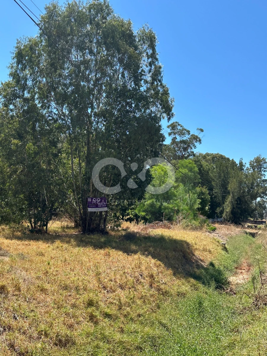 Terreno para Venda em Alvor Foto 5