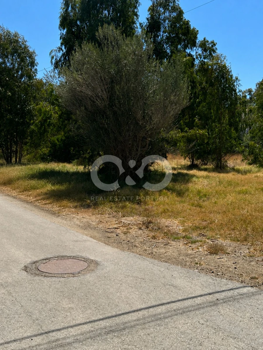 Terreno para Venda em Alvor Foto 7