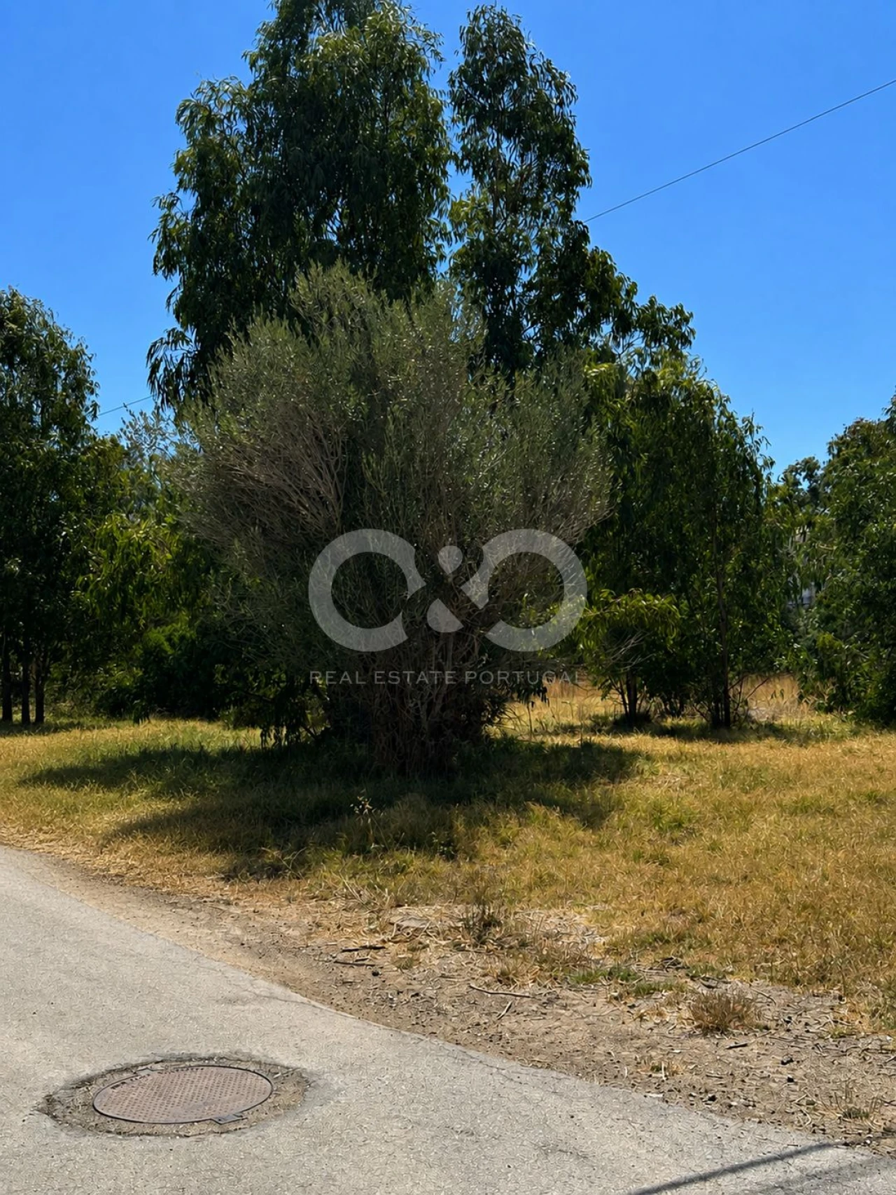 Terreno para Venda em Alvor Foto 8