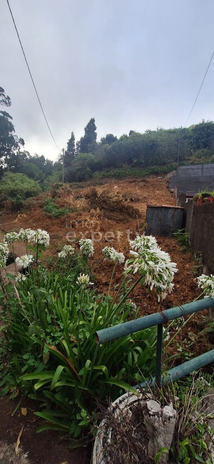 Terreno Agricola ou Rústico para Venda em Gaula Foto 6
