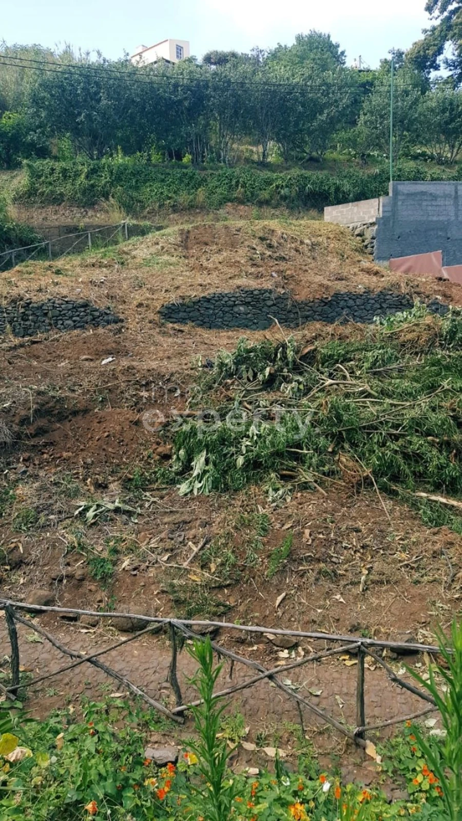 Terreno Agricola ou Rústico para Venda em Gaula Foto 3