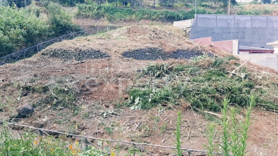 Terreno Agricola ou Rústico para Venda em Gaula Foto 2