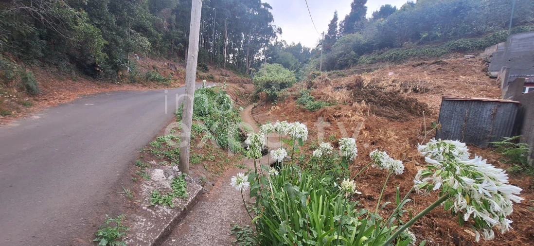 Terreno Agricola ou Rústico para Venda em Gaula Foto 4