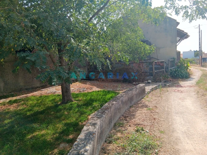 Moradia T2 para Venda em Batalha Foto 2