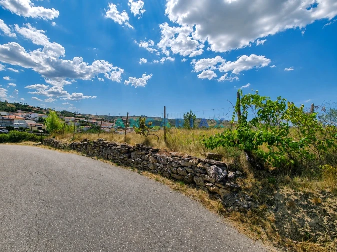 Terreno para Venda em Leiria, Pousos, Barreira e Cortes Foto 5