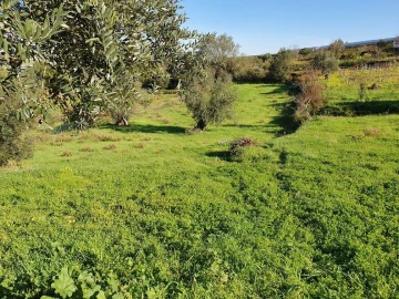 Moradia T4 para Venda em Almalagues