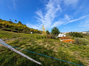 Moradia T5 para Venda em Lamego (Almacave e Sé)