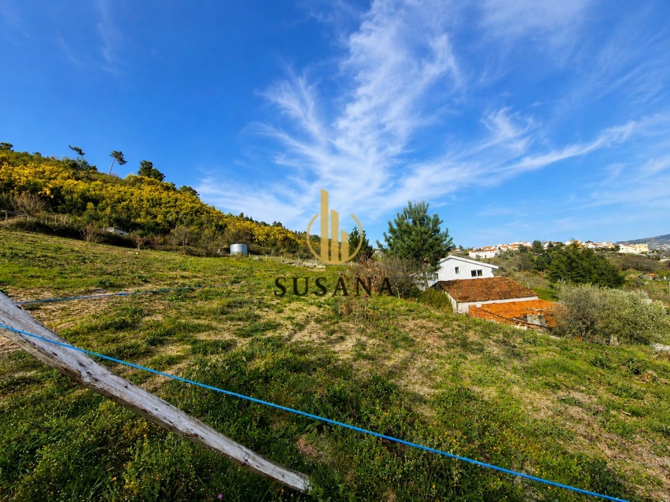 Moradia T5 para Venda em Lamego (Almacave e Sé) Foto 44