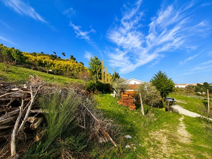 Moradia T5 para Venda em Lamego (Almacave e Sé) Foto 45