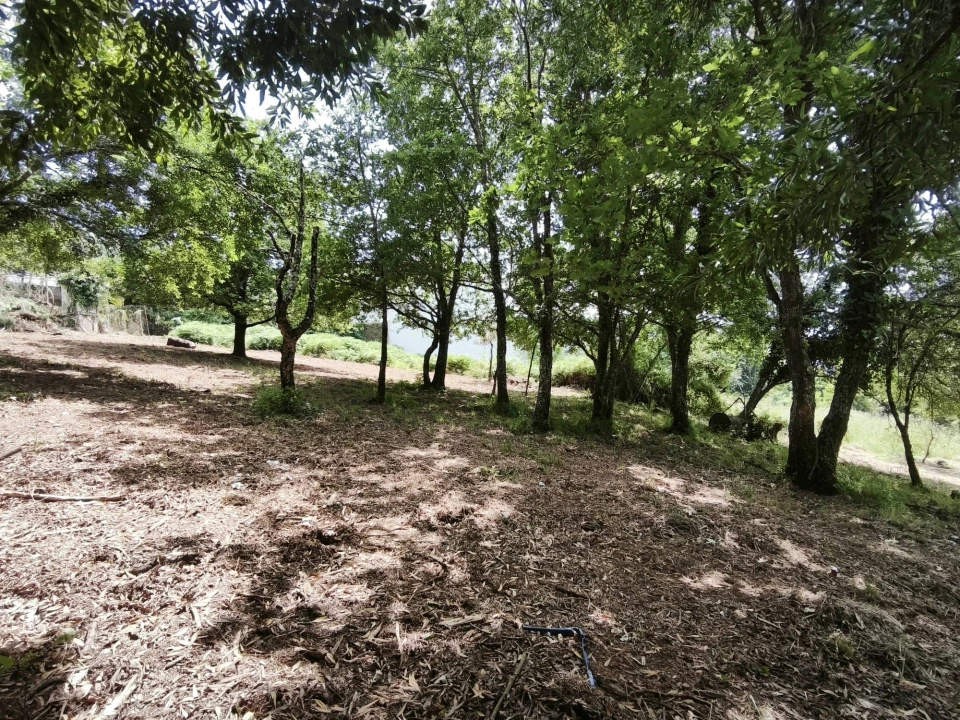 Moradia T3 para Venda em Lousã e Vilarinho Foto 19