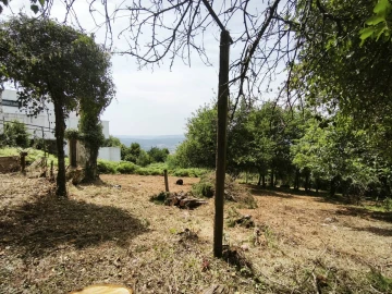 Moradia T3 para Venda em Lousã e Vilarinho