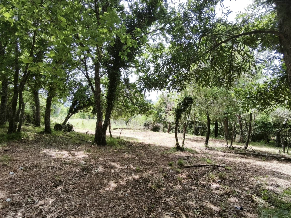 Moradia T3 para Venda em Lousã e Vilarinho Foto 23