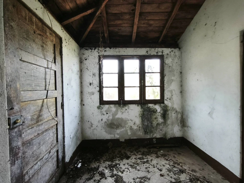 Moradia T3 para Venda em Lousã e Vilarinho Foto 8