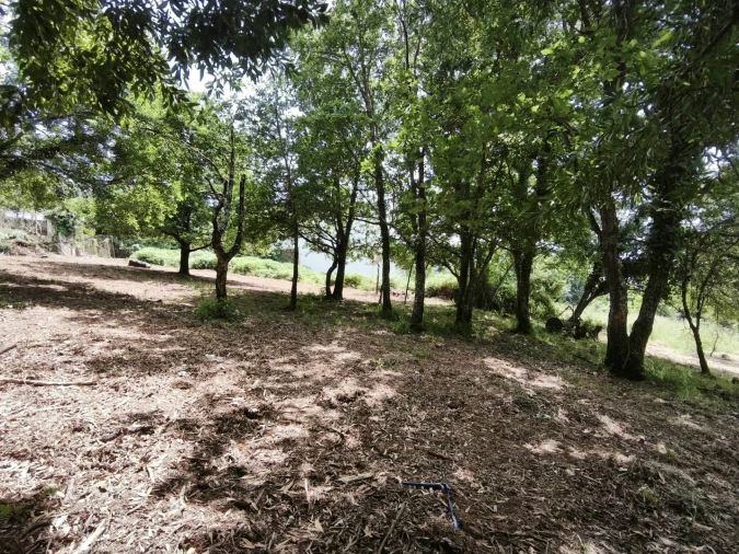 Moradia T3 para Venda em Lousã e Vilarinho Foto 19