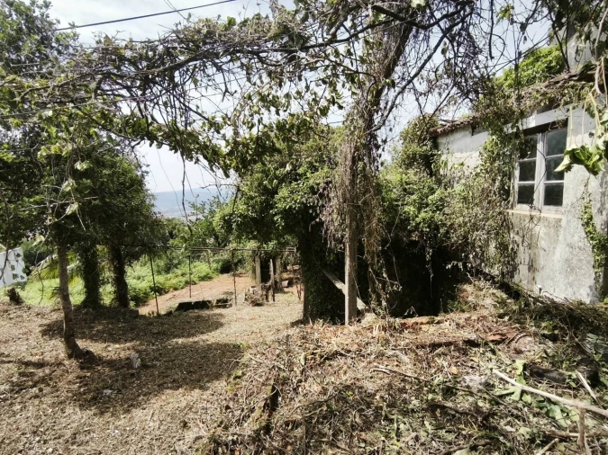 Moradia T3 para Venda em Lousã e Vilarinho Foto 18