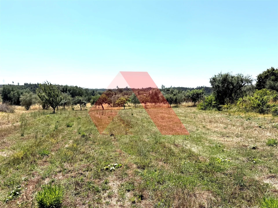 Quinta T0 para Venda em Covas e Vila Nova de Oliveirinha Foto 19