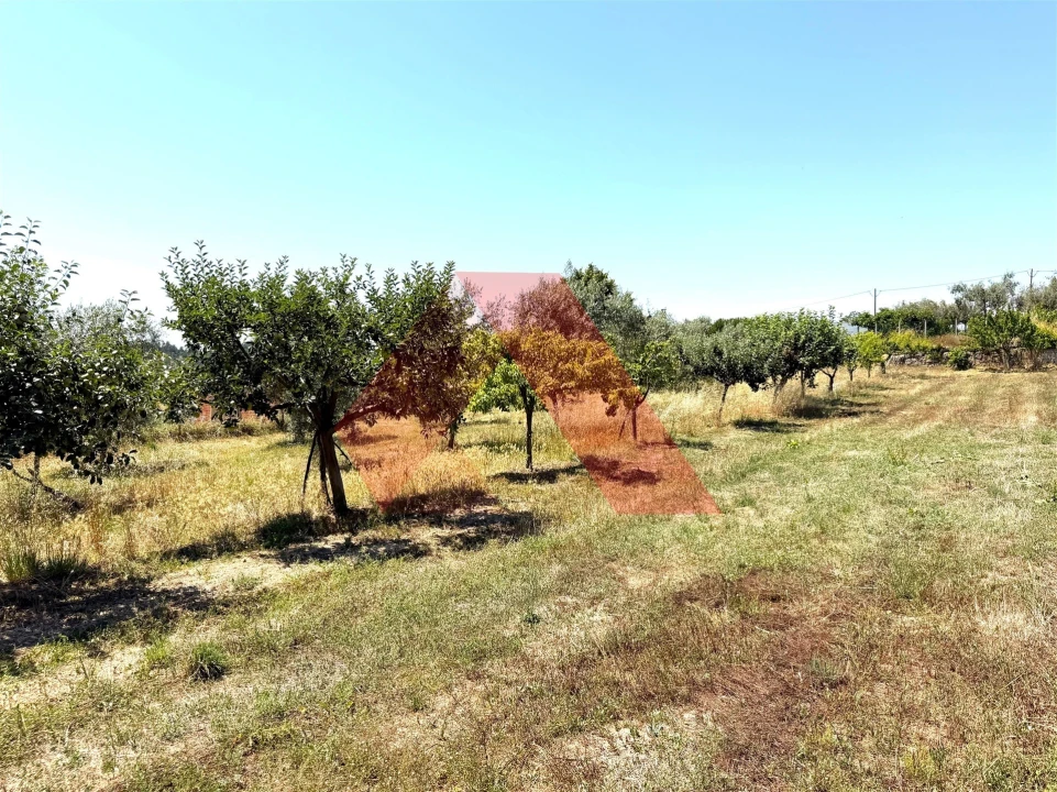 Quinta T0 para Venda em Covas e Vila Nova de Oliveirinha Foto 18