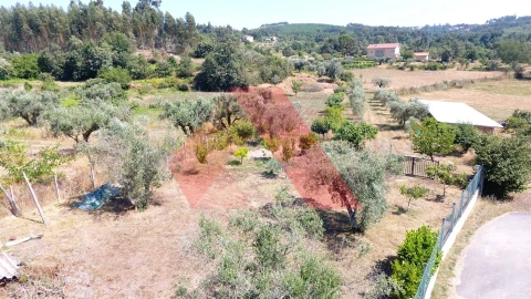 Quinta T0 para Venda em Covas e Vila Nova de Oliveirinha