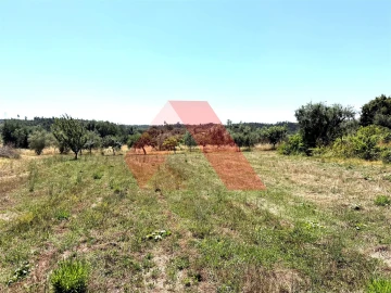 Quinta T0 para Venda em Covas e Vila Nova de Oliveirinha