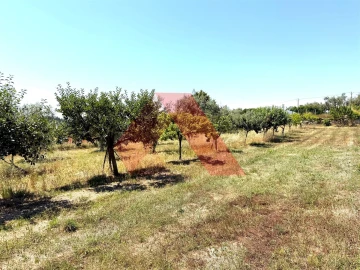 Quinta T0 para Venda em Covas e Vila Nova de Oliveirinha