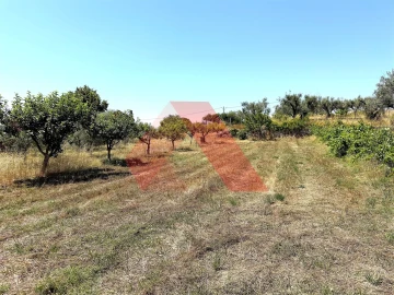 Quinta T0 para Venda em Covas e Vila Nova de Oliveirinha