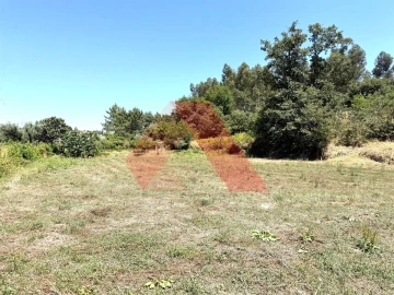 Quinta T0 para Venda em Covas e Vila Nova de Oliveirinha