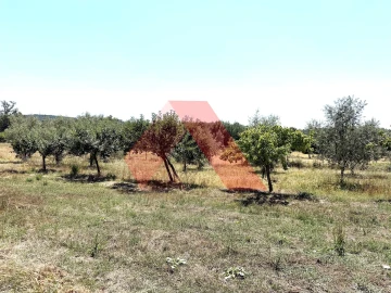Quinta T0 para Venda em Covas e Vila Nova de Oliveirinha