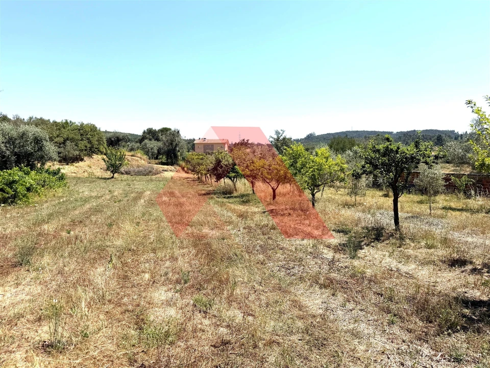 Quinta T0 para Venda em Covas e Vila Nova de Oliveirinha Foto 23