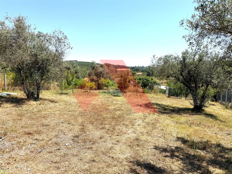 Quinta T0 para Venda em Covas e Vila Nova de Oliveirinha Foto 24
