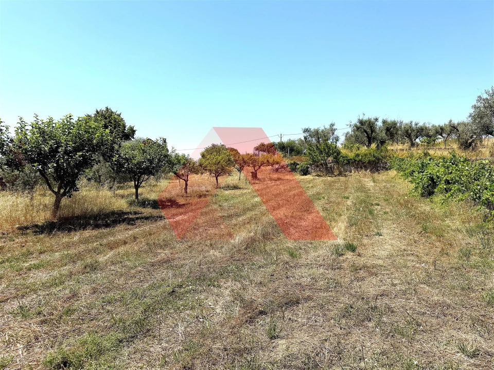 Quinta T0 para Venda em Covas e Vila Nova de Oliveirinha Foto 20