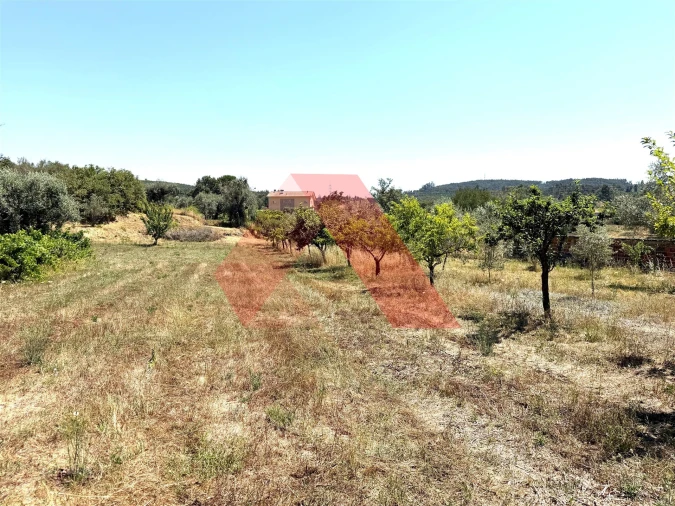 Quinta T0 para Venda em Covas e Vila Nova de Oliveirinha Foto 23