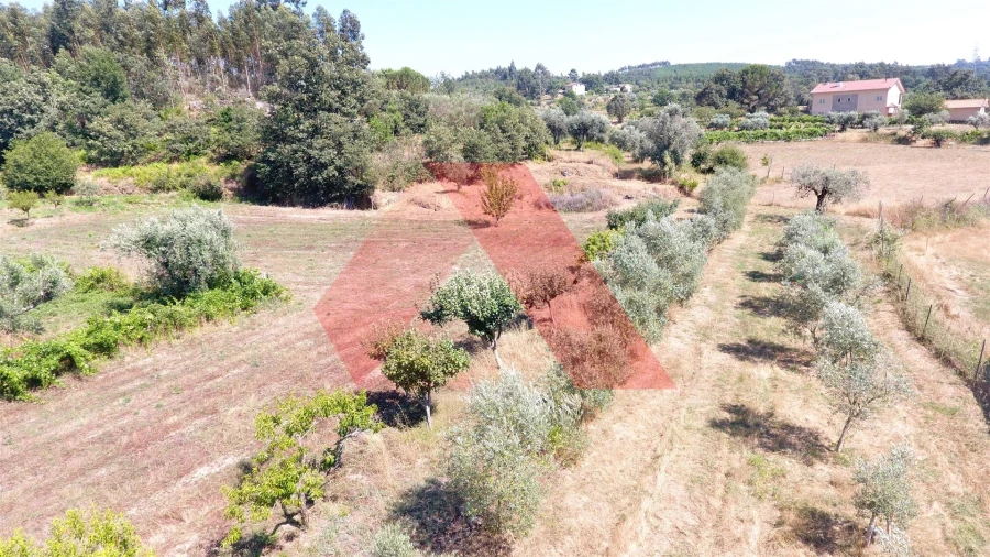 Quinta T0 para Venda em Covas e Vila Nova de Oliveirinha Foto 14