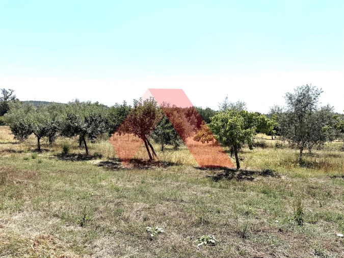 Quinta T0 para Venda em Covas e Vila Nova de Oliveirinha Foto 21
