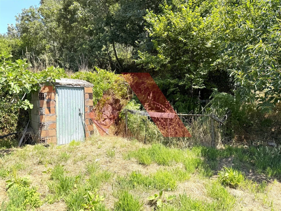 Quinta T0 para Venda em Covas e Vila Nova de Oliveirinha Foto 8
