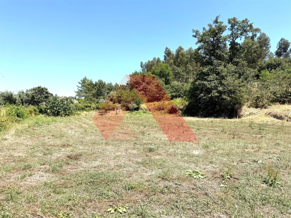 Quinta T0 para Venda em Covas e Vila Nova de Oliveirinha Foto 22