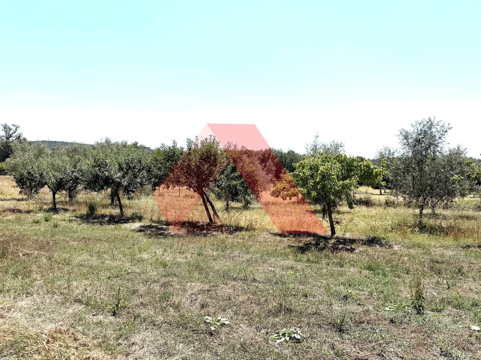 Quinta T0 para Venda em Covas e Vila Nova de Oliveirinha Foto 21