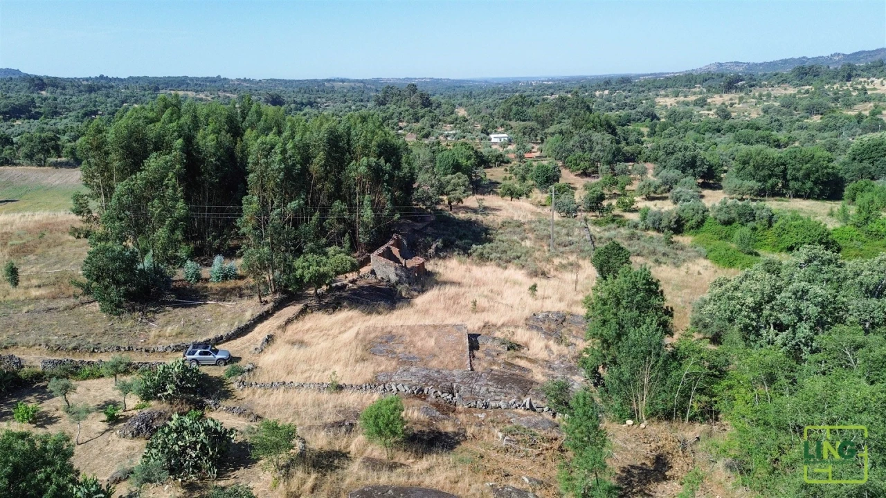 Terreno Agricola ou Rústico para Venda em Aranhas Foto 1