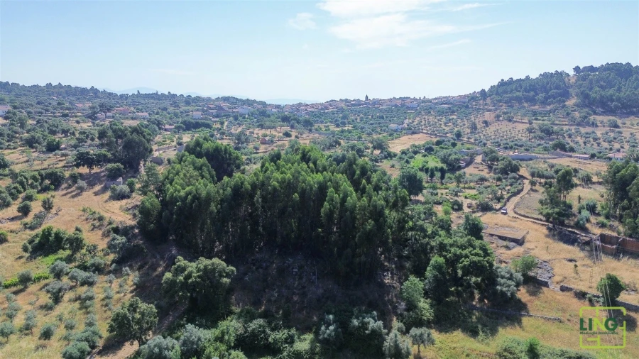 Terreno Agricola ou Rústico para Venda em Aranhas Foto 32
