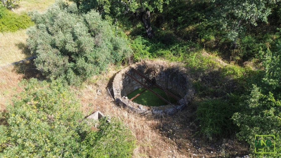 Terreno Agricola ou Rústico para Venda em Aranhas Foto 21
