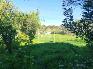 Moradia T3 para Venda em Cabanas de Viriato