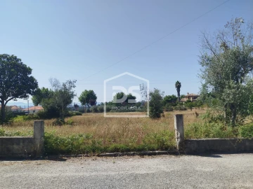 Terreno para Venda em Currelos, Papízios e Sobral