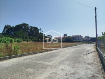 Terreno para Venda em Currelos, Papízios e Sobral