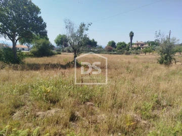 Terreno para Venda em Currelos, Papízios e Sobral