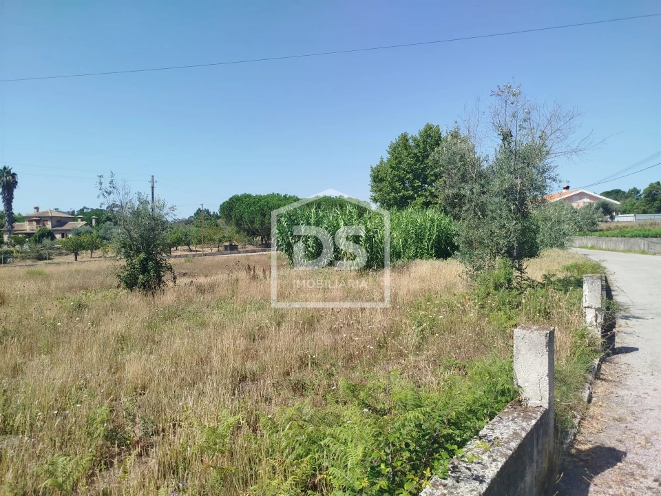 Terreno para Venda em Currelos, Papízios e Sobral Foto 5