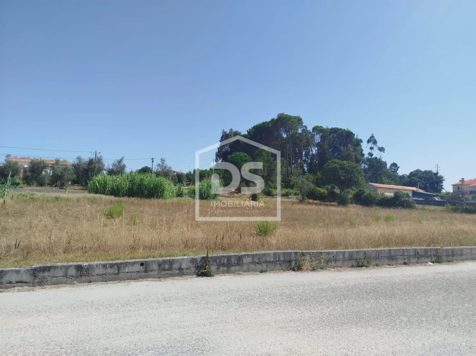 Terreno para Venda em Currelos, Papízios e Sobral Foto 6