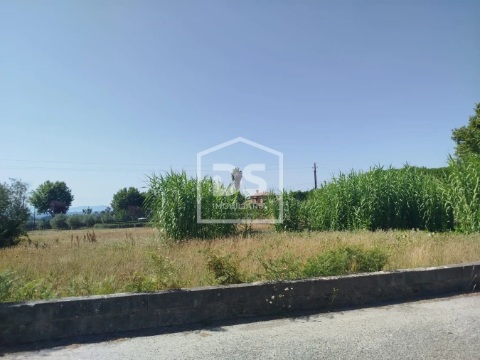Terreno para Venda em Currelos, Papízios e Sobral Foto 3