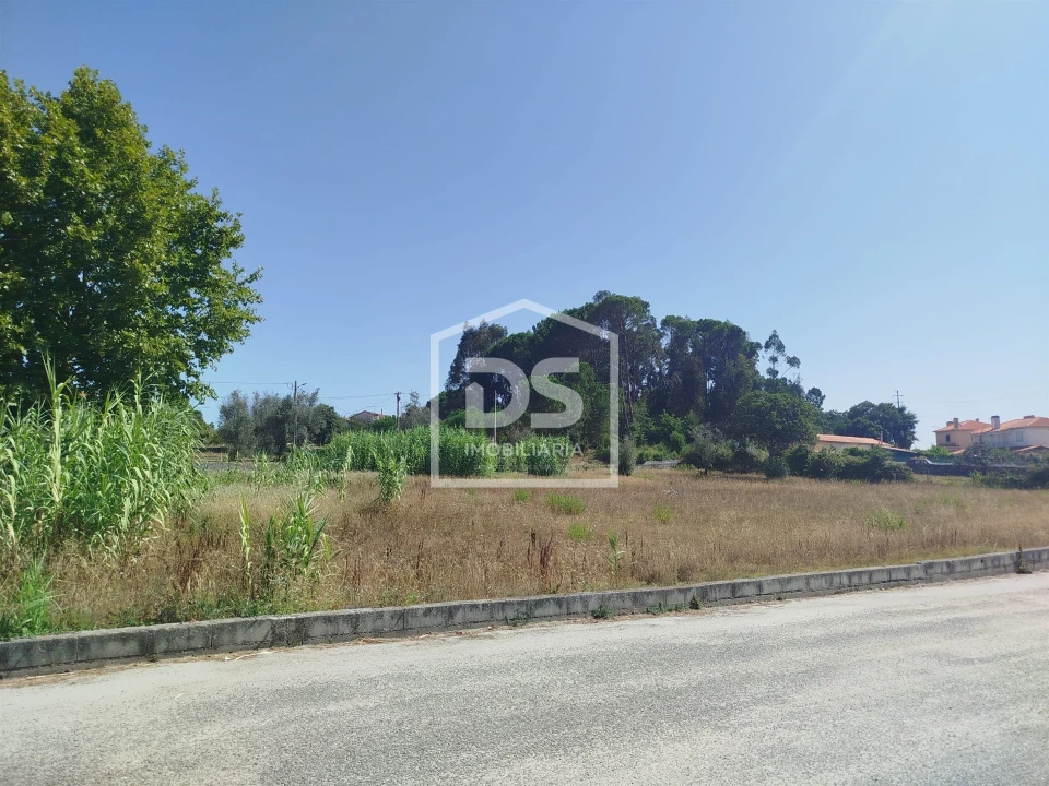 Terreno para Venda em Currelos, Papízios e Sobral Foto 7