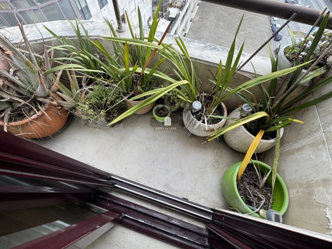 Apartamento T4 para Venda em Pedroso e Seixezelo Foto 7